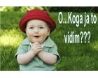 Mladi programeri i piva